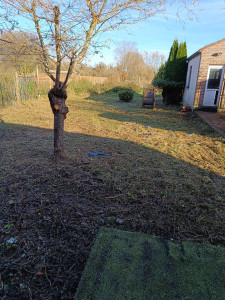 Photo de galerie - Débroussaillage + tonte + évacuation des déchets verts. ( secteur Saint-aybert) 