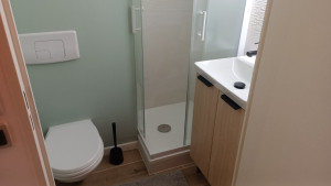 Photo de galerie - Rénovation complète SDB 