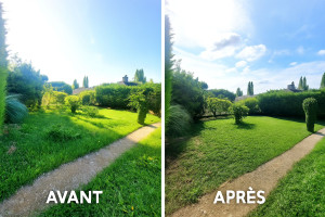 Photo de galerie - Tonte de pelouse - Débroussaillage