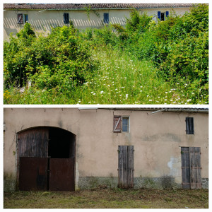 Photo de galerie - Tonte de pelouse - Débroussaillage