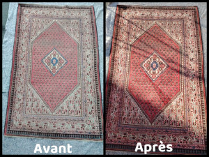 Photo de galerie - Ménage