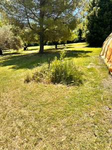 Photo de galerie - Jardinier