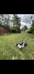 Photo de galerie - Tonte de pelouse - Débroussaillage