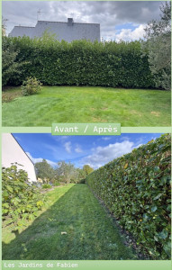 Photo de galerie - ?Avant & Après : Taille de Haie de Laurier ?