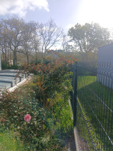 Photo de galerie - Désherber les mauvaises plantes avant