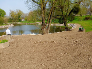 Photo de galerie - Engazonnement 