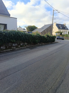 Photo de galerie - Taillage de haie  