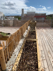 Photo de galerie - Roof top jardinière clôture ganivelle bois 