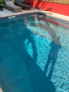 Photo de galerie - Pas de Travaix mais remettte en état chimique l eau d une piscine 