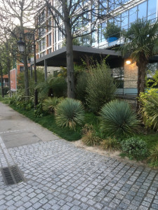 Photo de galerie - Paysagiste - Aménagement du jardin