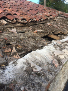 Photo de galerie - Charpente