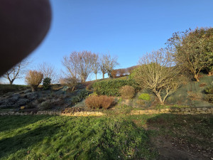 Photo de galerie - Taille de haie sur talus 