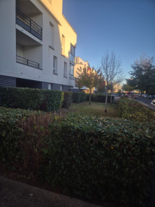 Photo de galerie - Jardinier