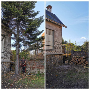 Photo de galerie - Démontage d'un sapin 