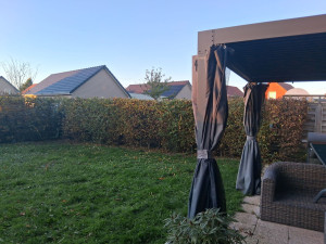 Photo de galerie - Rabattage de haie 