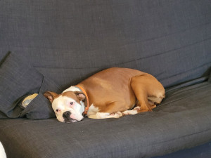 Photo de galerie - Toute jeune et très mignonne