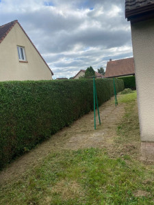 Photo de galerie - Taille de haies et d'arbustes