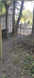 Photo de galerie - Clôture Grillage