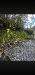 Photo de galerie - Dessoucher 6 pieds de sapins 