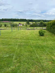 Photo de galerie - Tonte de pelouse - Débroussaillage