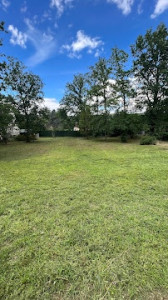 Photo de galerie - Tonte pelouse