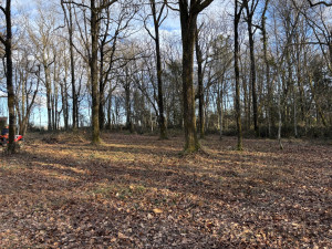 Photo de galerie - Chantier fini ✅️