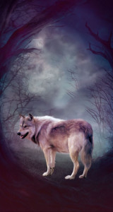 Photo de galerie - Aider à récupérer des colis 