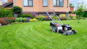 Photo de galerie - Tonte de pelouse