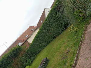 Photo de galerie - Taille