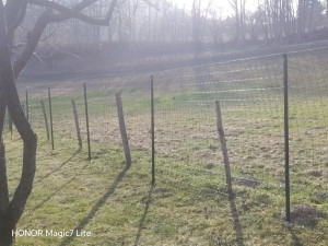 Photo de galerie - En cours 