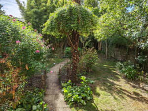 Photo de galerie - Entretien écologique de jardin