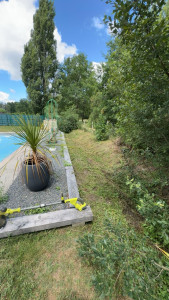 Photo de galerie - Tonte de pelouse - Débroussaillage