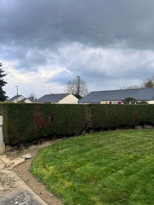 Photo de galerie - Taille de haies et d'arbustes