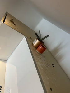 Photo de galerie - Avant 