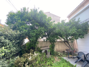 Photo de galerie - Elagage et coupe d'arbres