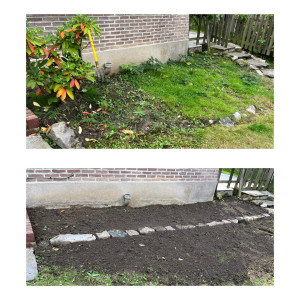 Photo de galerie - Restructuration massif ( travail du sol et bordures,déplantation )