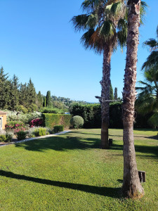 Photo de galerie - Tonte gazon