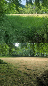 Photo de galerie - Remise en état d'un champ 