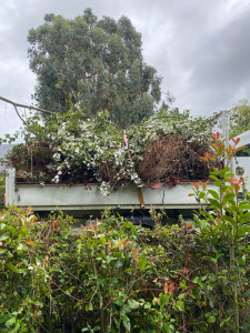 Photo de galerie - Enlèvement de déchets verts