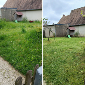 Photo de galerie - Tonte de pelouse - Débroussaillage