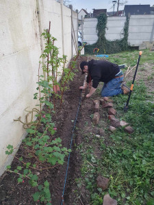 Photo de galerie - Paysagiste - Aménagement du jardin