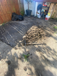 Photo de galerie - Photo avant terrassement 