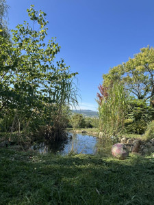 Photo de galerie - Taillage