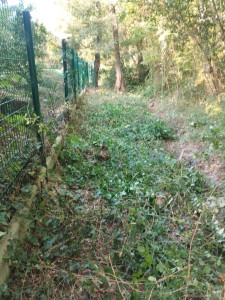 Photo de galerie - Tonte de pelouse - Débroussaillage