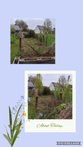 Photo de galerie - Mise au propre d'un poulailler et évacuation des déchets verts.