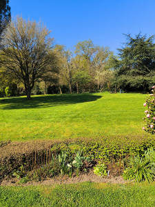 Photo de galerie - Tonte