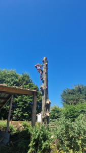 Photo de galerie - Démontage 