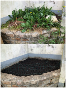 Photo de galerie - Désherbage 