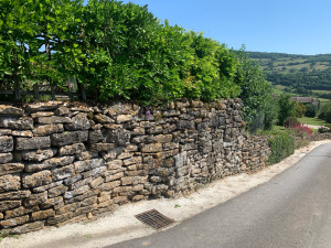 Photo de galerie - Assez propre!