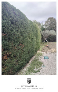 Photo de galerie - Entretien annuel = longévité des plantes
